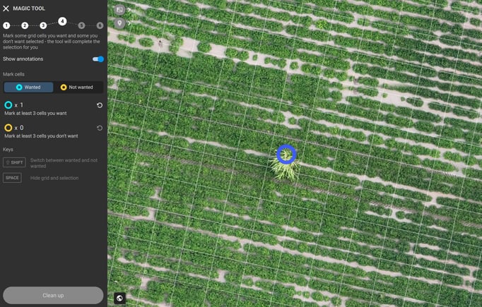 Peanuts infested with Sorghum alepense