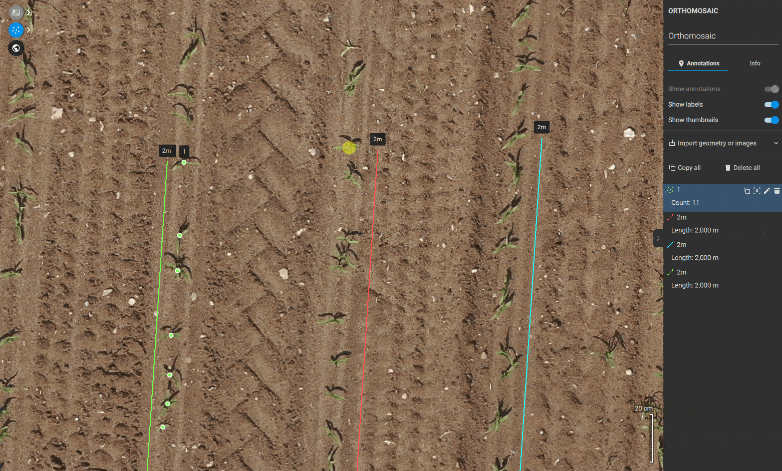 manual_counting_corn