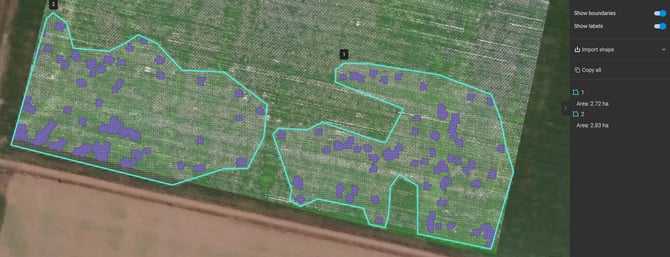 multiple boundaries covering application area