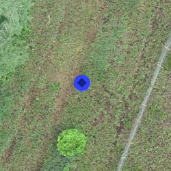 2D blue camera position. Initial position. 