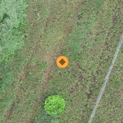 2D orange camera position.  Uncalibrated camera.